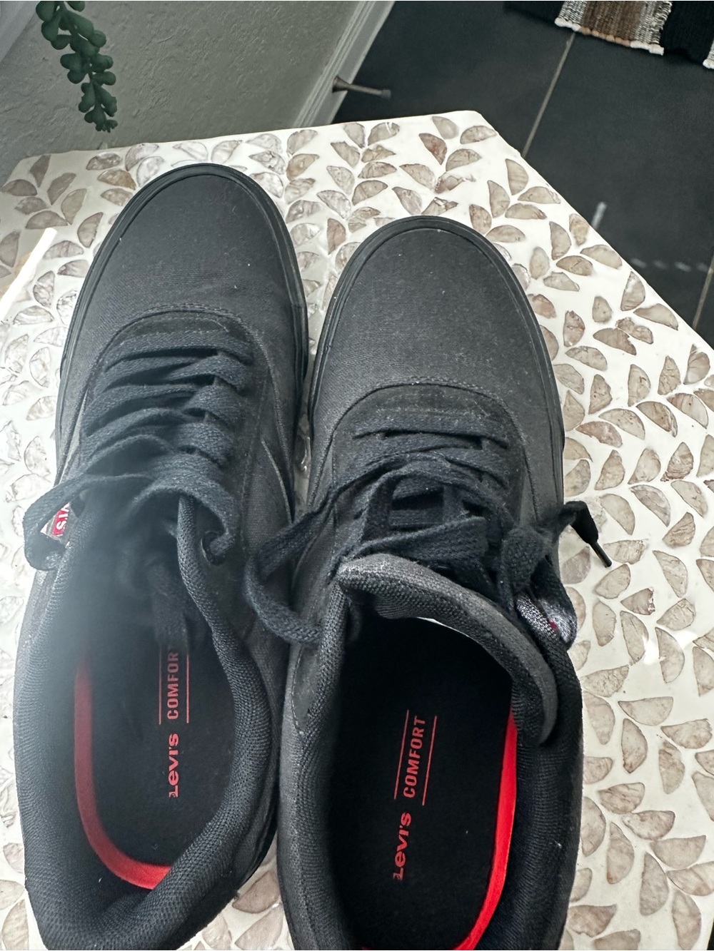 Levi's Men's Black Lace-Up Comfort Sneakers with Red Insole Accent